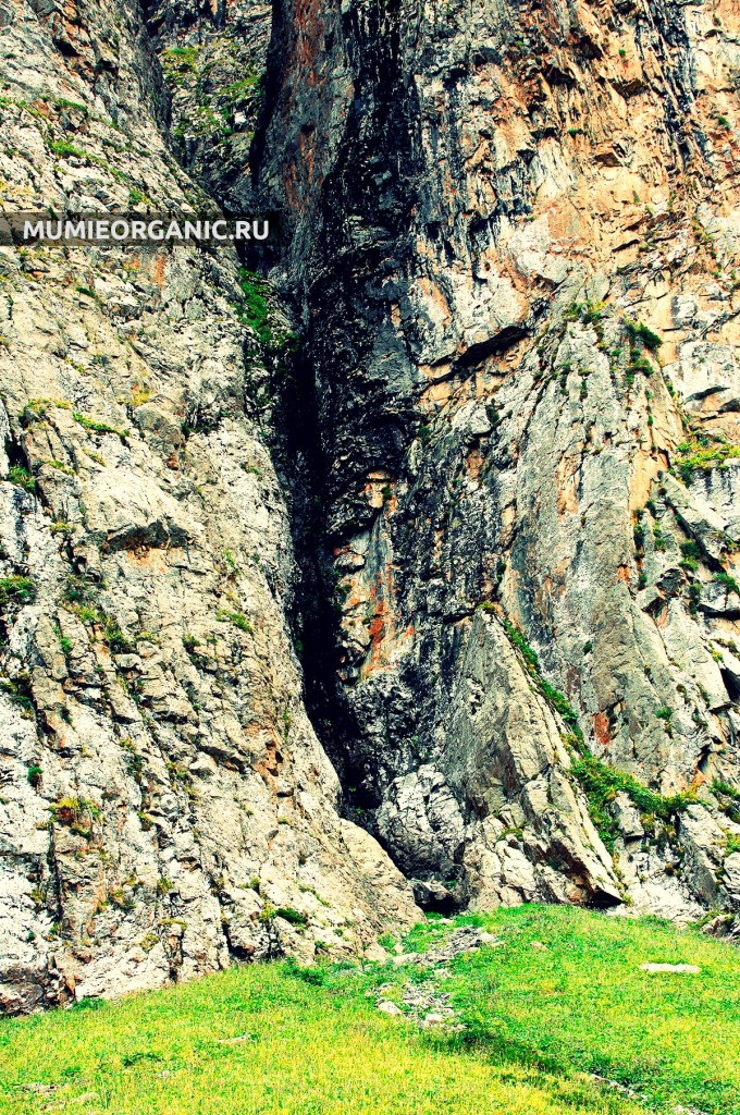 Мумиё вытекает из расщелин скал